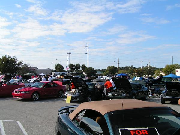 16th Annual Super Sunday Photos/ Sarasota-picture-216.jpg