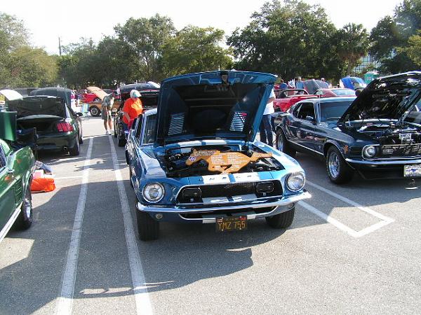 16th Annual Super Sunday Photos/ Sarasota-picture-225.jpg