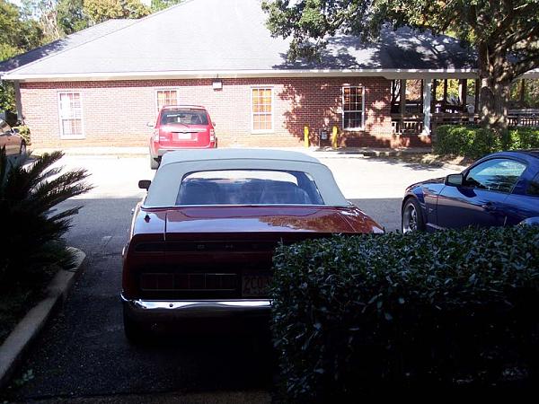 My bosses '69 Shelby GT350 vert-000_0353resize.jpg