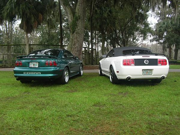 Jan 08, NPD/Silver Springs-dscn7135.jpg