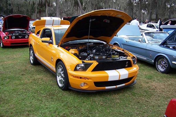 2008 Silver Springs show-pics-silversprings2008_0137small.jpg