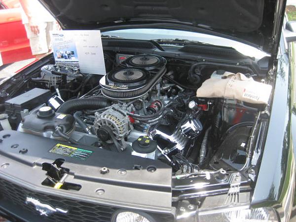 Mustang Week 2010-img_1298.jpg