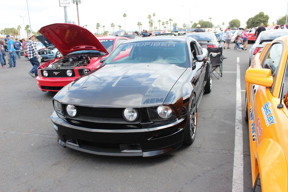 Name:  tn_IMG_8952_zpsd674af9f.jpg
Views: 33
Size:  123.3 KB