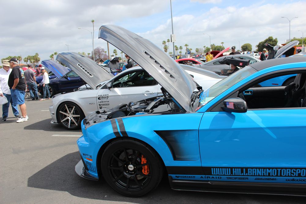 Name:  tn_IMG_8951_zpsb7a319c3.jpg
Views: 29
Size:  111.1 KB