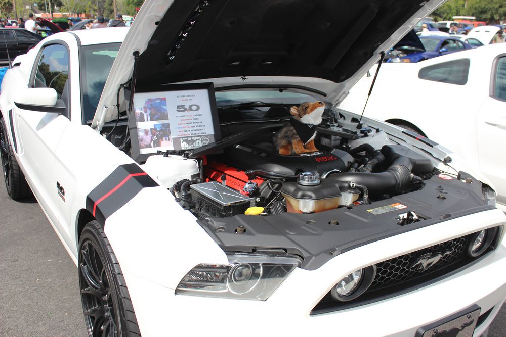 Name:  tn_IMG_8950_zps30e35b30.jpg
Views: 26
Size:  113.9 KB