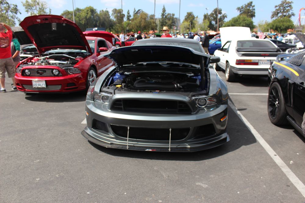 Name:  tn_IMG_8949_zps50943169.jpg
Views: 26
Size:  117.1 KB