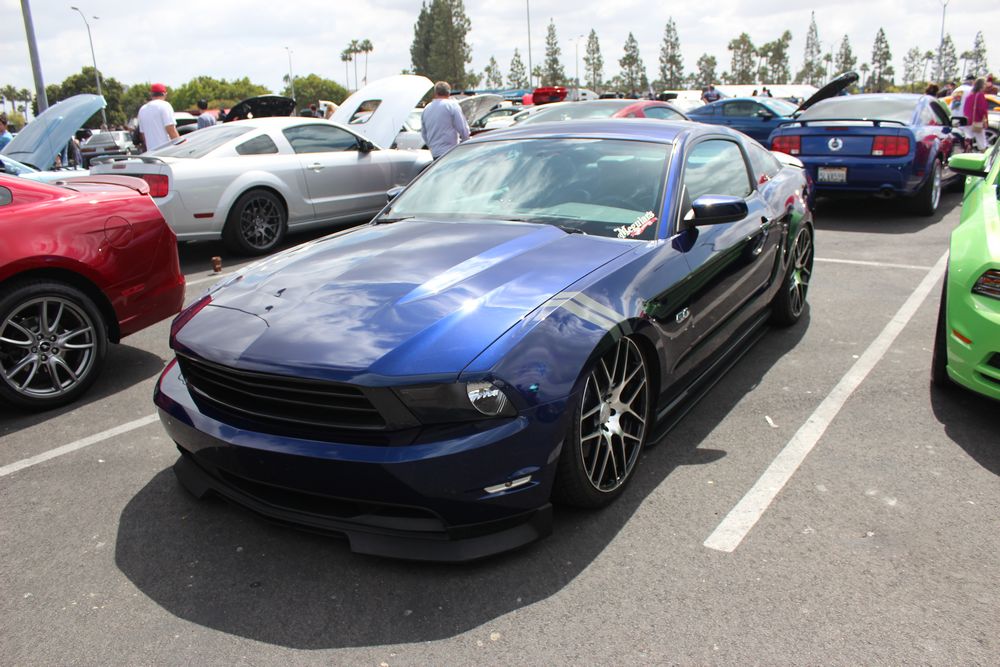 Name:  tn_IMG_8948_zps8f34cb29.jpg
Views: 25
Size:  127.5 KB