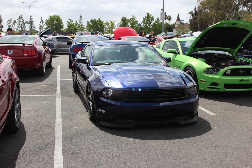 Name:  tn_IMG_8946_zps284cfaa3.jpg
Views: 26
Size:  138.1 KB