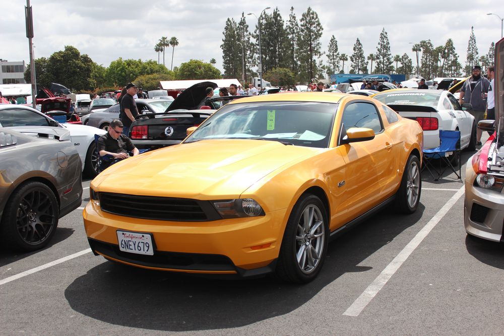 Name:  tn_IMG_8944_zps409bf1b3.jpg
Views: 21
Size:  137.5 KB