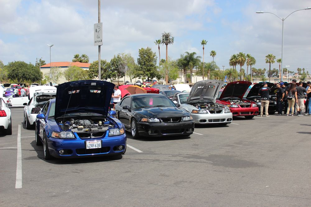 Name:  tn_IMG_8943_zpsdb830465.jpg
Views: 25
Size:  122.9 KB