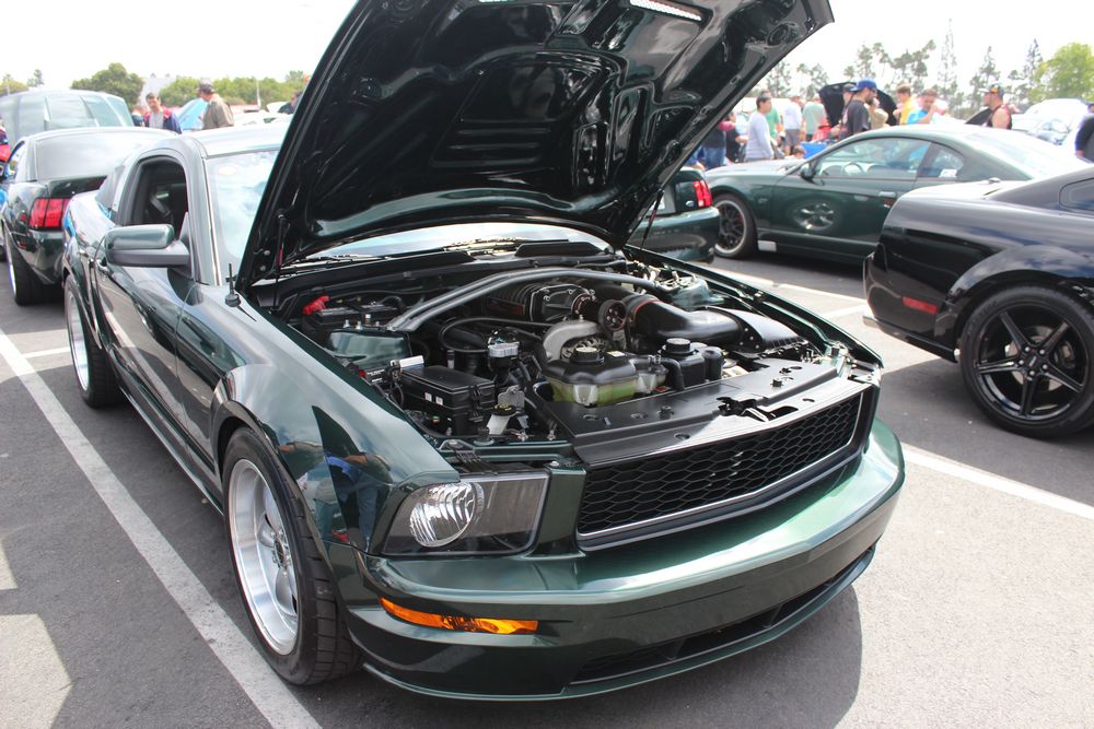 Name:  tn_IMG_8942_zps95369824.jpg
Views: 23
Size:  137.4 KB