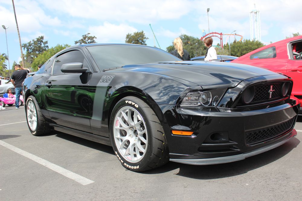 Name:  tn_IMG_8941_zpsf9488ad9.jpg
Views: 26
Size:  115.2 KB