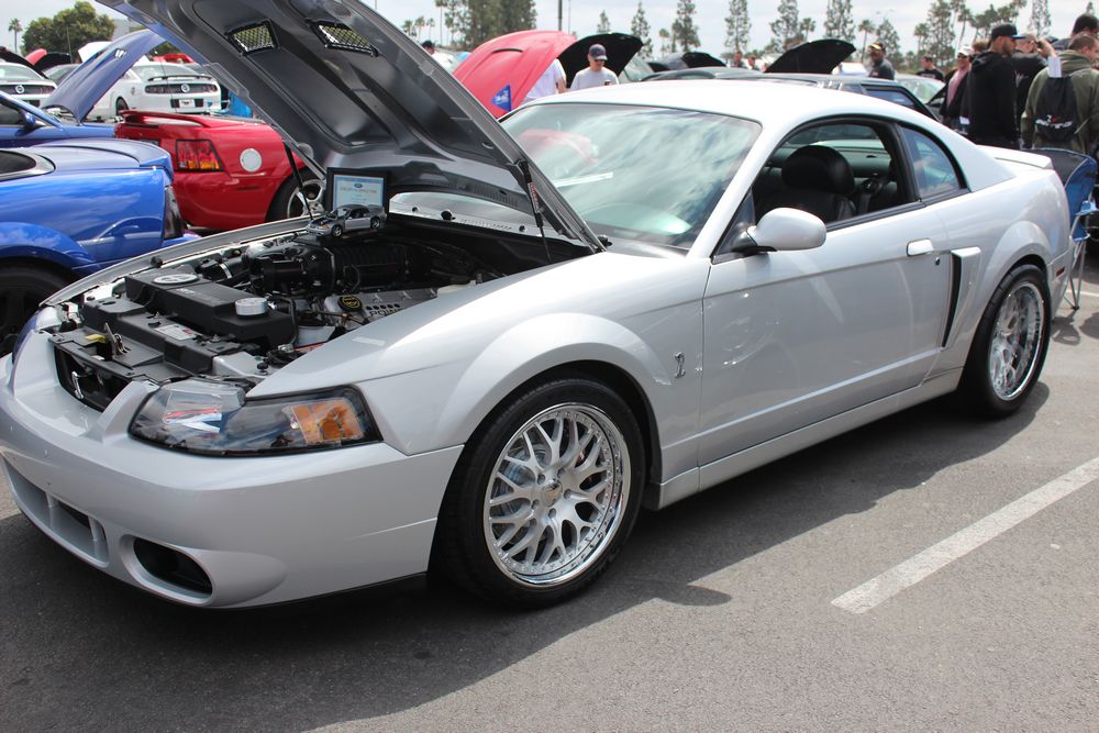 Name:  tn_IMG_8940_zps3662b3d6.jpg
Views: 28
Size:  130.2 KB