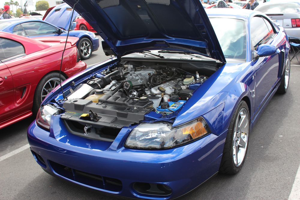 Name:  tn_IMG_8939_zpsf5b5afe5.jpg
Views: 19
Size:  141.8 KB