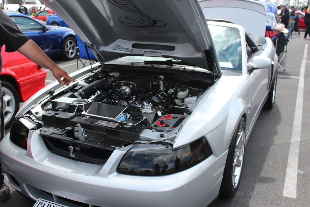 Name:  tn_IMG_8938_zps4a7e15b1.jpg
Views: 33
Size:  114.8 KB