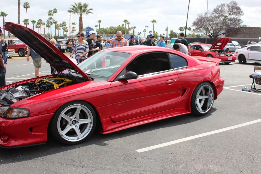 Name:  tn_IMG_8937_zps2d33ea6d.jpg
Views: 34
Size:  140.3 KB