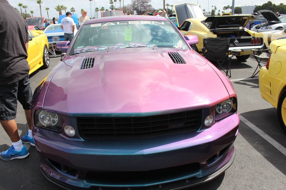 Name:  tn_IMG_8935_zpsb2a4fbe4.jpg
Views: 25
Size:  113.5 KB