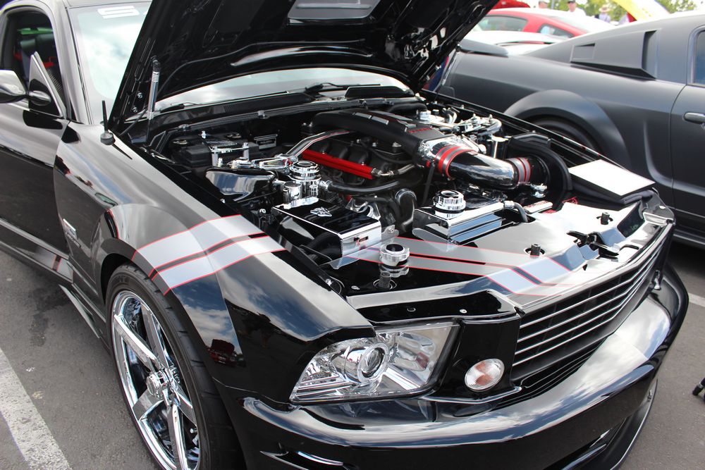 Name:  tn_IMG_8934_zpsfa6eaac8.jpg
Views: 27
Size:  148.5 KB