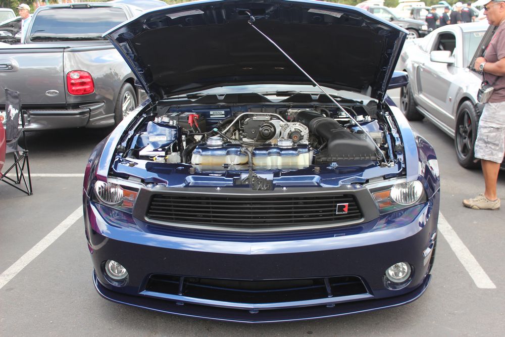 Name:  tn_IMG_8932_zps37d0e7af.jpg
Views: 28
Size:  132.8 KB