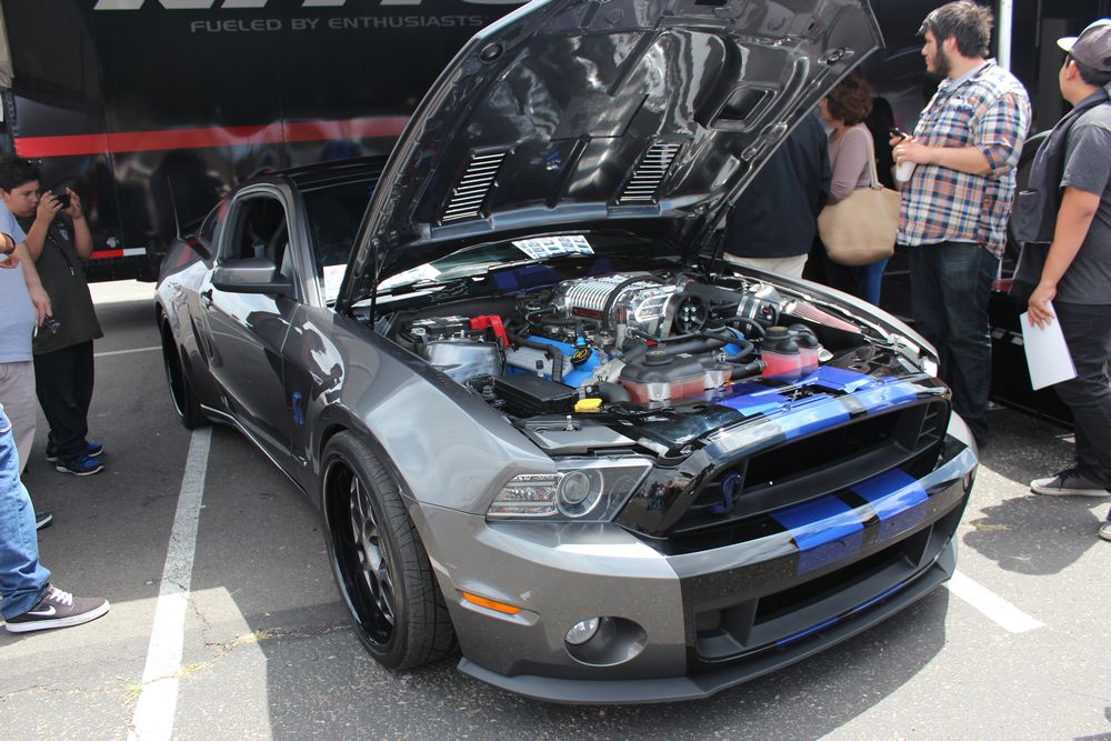 Name:  tn_IMG_9004_zpsfc599355.jpg
Views: 31
Size:  138.7 KB