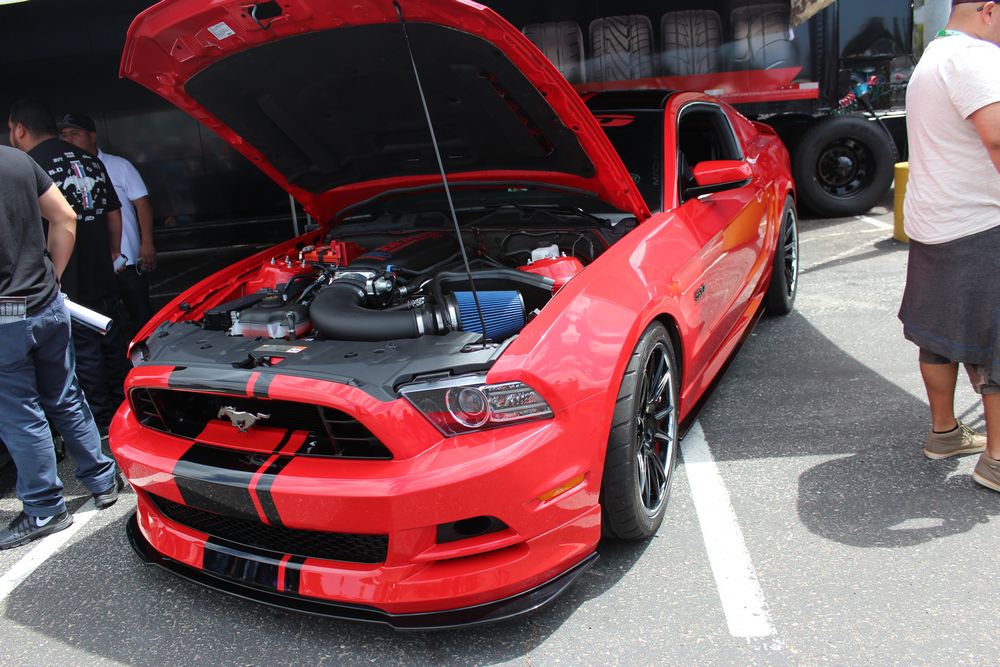 Name:  tn_IMG_9003_zps4e12d131.jpg
Views: 22
Size:  138.3 KB