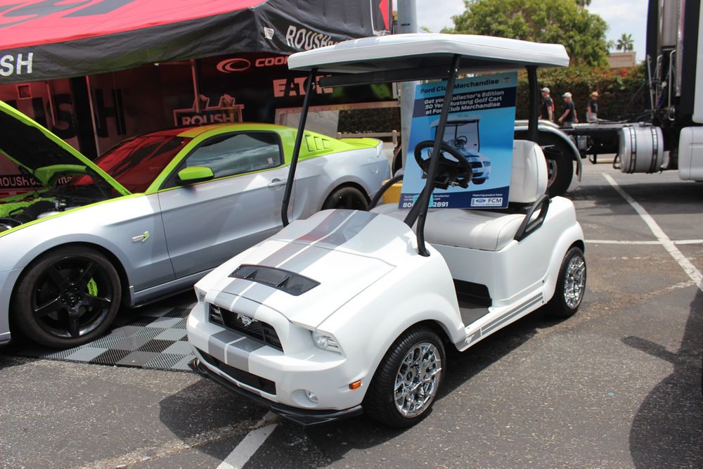 Name:  tn_IMG_9000_zps82d2c618.jpg
Views: 29
Size:  132.6 KB