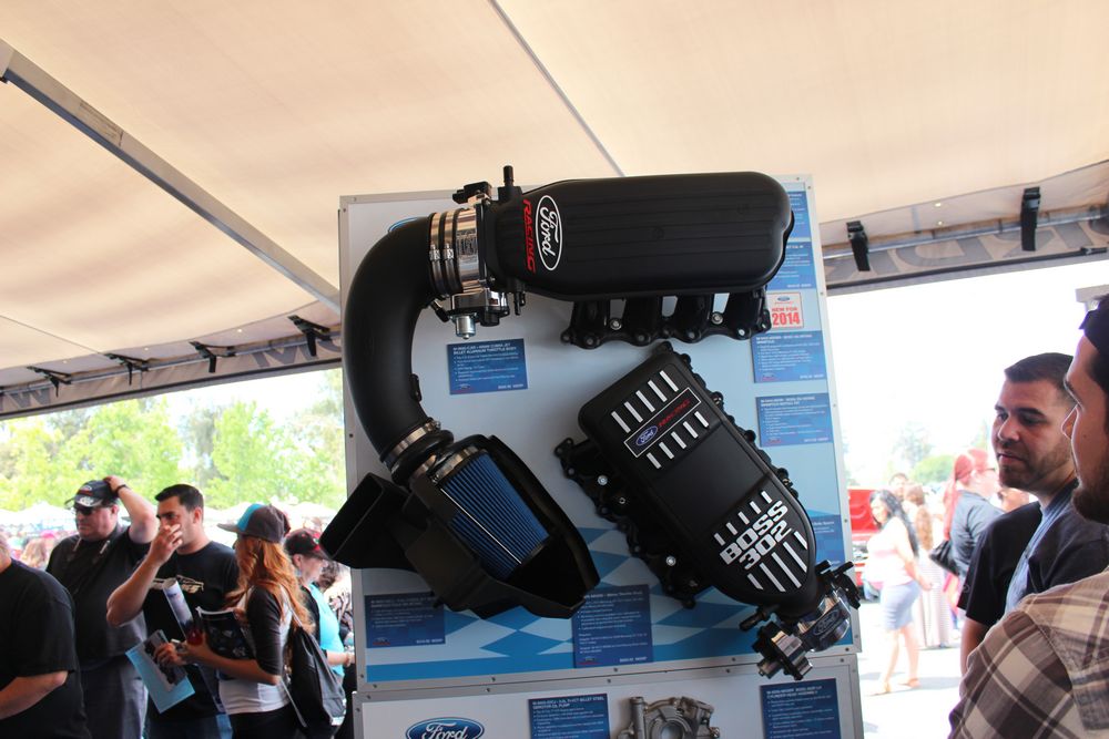 Name:  tn_IMG_8999_zps66ad572c.jpg
Views: 25
Size:  99.8 KB