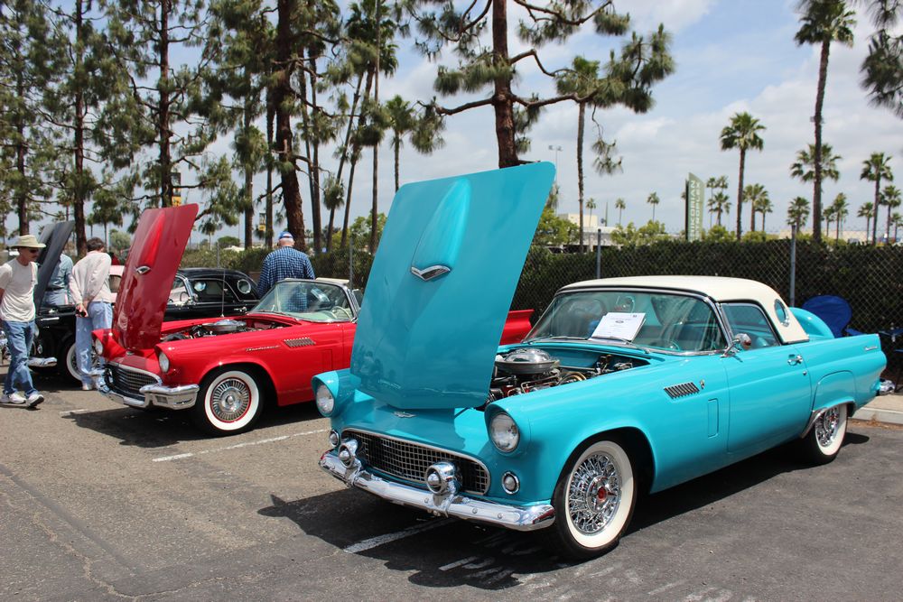 Name:  tn_IMG_8996_zps0adfc38f.jpg
Views: 24
Size:  159.3 KB