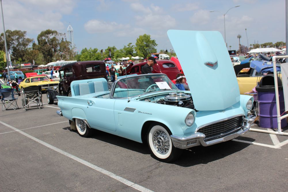 Name:  tn_IMG_8995_zpsf376ef4a.jpg
Views: 33
Size:  112.9 KB