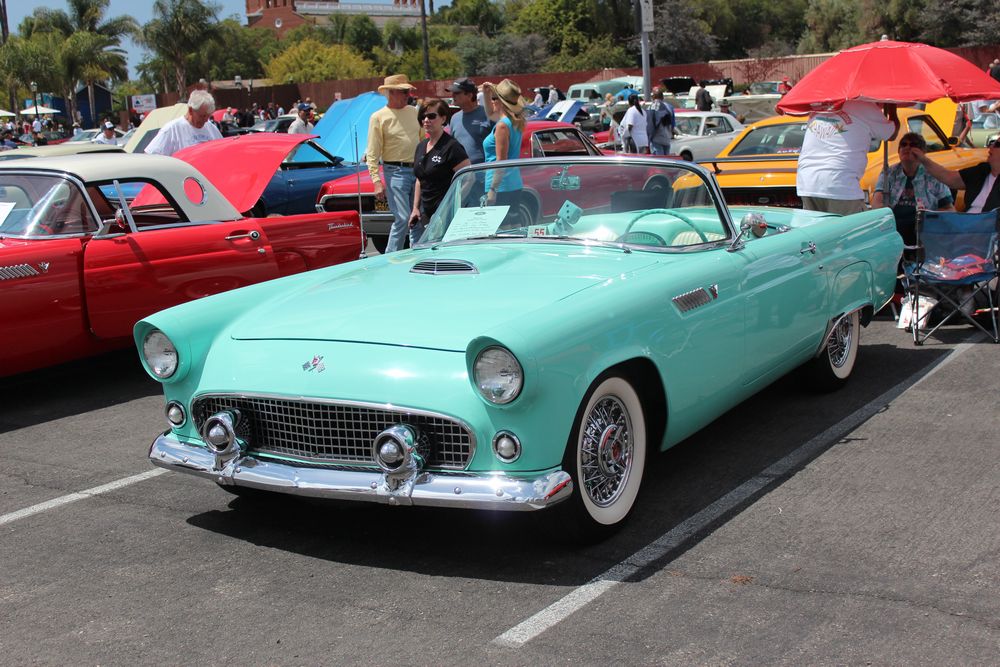 Name:  tn_IMG_8994_zpsc39c58f2.jpg
Views: 26
Size:  147.2 KB