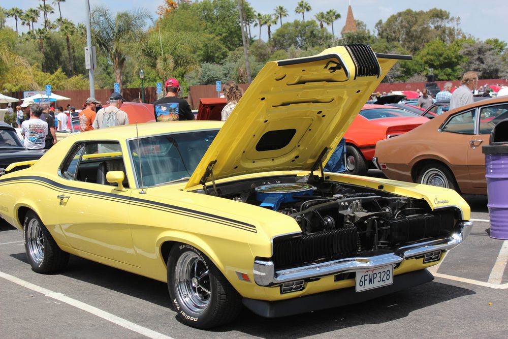 Name:  tn_IMG_8990_zpsd215395b.jpg
Views: 30
Size:  150.8 KB