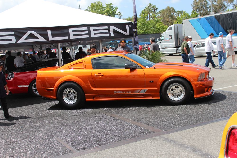 Name:  tn_IMG_8983_zpsb4132c02.jpg
Views: 28
Size:  159.1 KB