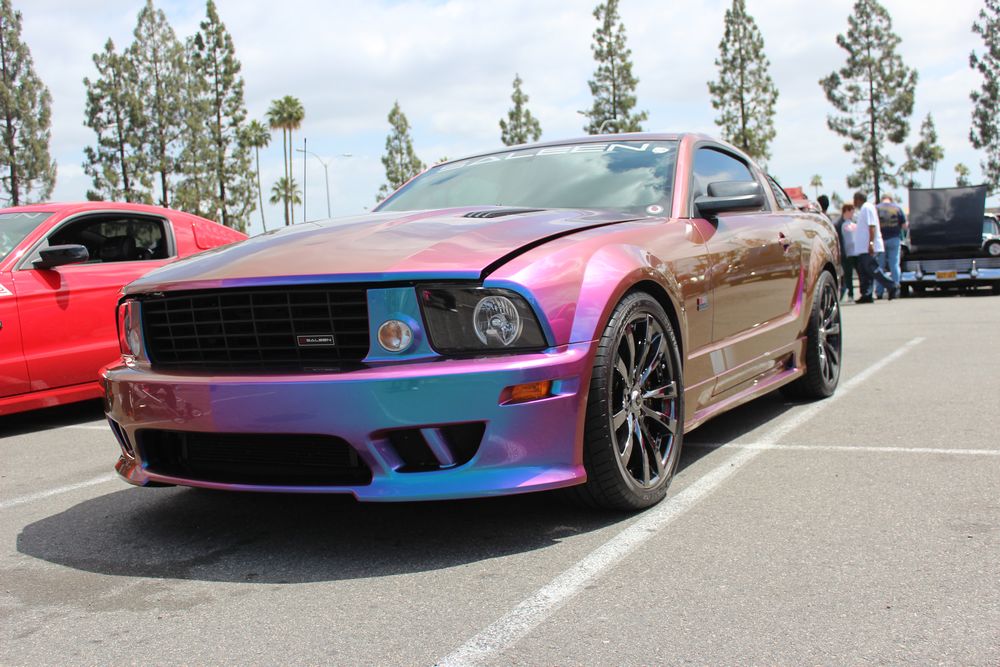 Name:  tn_IMG_8982_zpsfe554457.jpg
Views: 31
Size:  128.5 KB