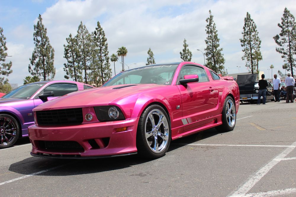 Name:  tn_IMG_8981_zps4f57c02c.jpg
Views: 30
Size:  134.1 KB