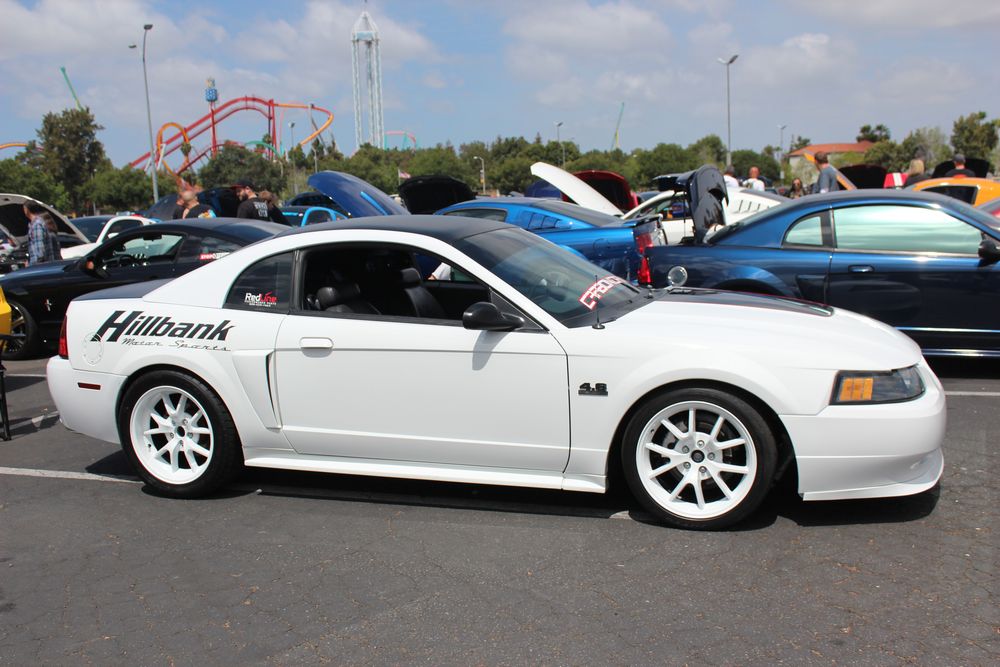 Name:  tn_IMG_8980_zpsab7d1c2d.jpg
Views: 29
Size:  109.9 KB