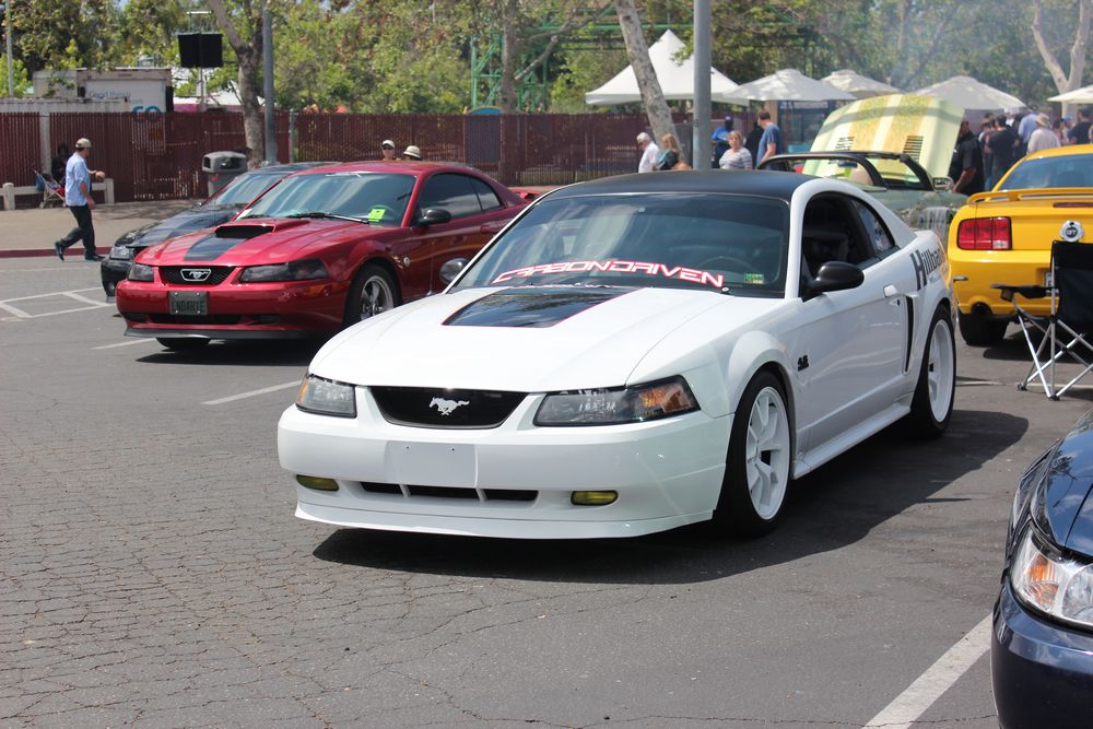 Name:  tn_IMG_8979_zps840daff5.jpg
Views: 32
Size:  132.7 KB