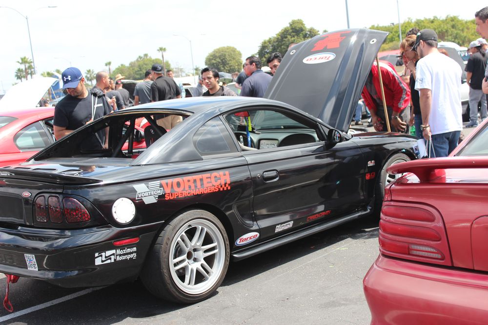 Name:  tn_IMG_8978_zpsa6d24133.jpg
Views: 26
Size:  126.0 KB