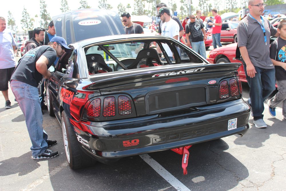 Name:  tn_IMG_8977_zps2a4090ff.jpg
Views: 37
Size:  145.9 KB