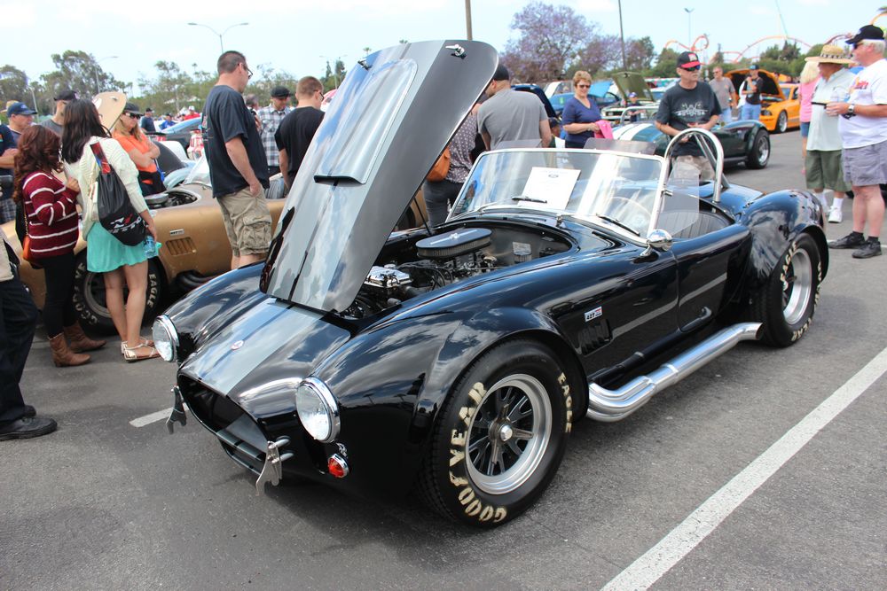 Name:  tn_IMG_8974_zps9208ac69.jpg
Views: 26
Size:  145.3 KB