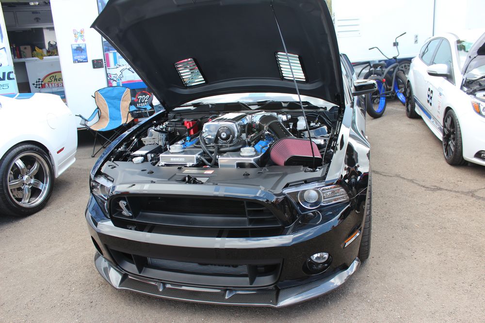 Name:  tn_IMG_8973_zpsa3139e35.jpg
Views: 30
Size:  138.0 KB