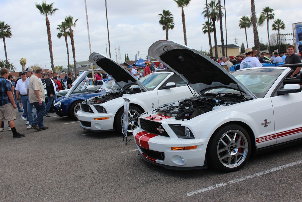 Name:  tn_IMG_8971_zpsc90ae728.jpg
Views: 29
Size:  140.7 KB