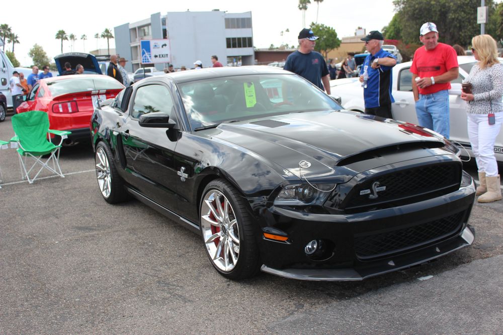 Name:  tn_IMG_8970_zpsa691aa36.jpg
Views: 30
Size:  133.2 KB