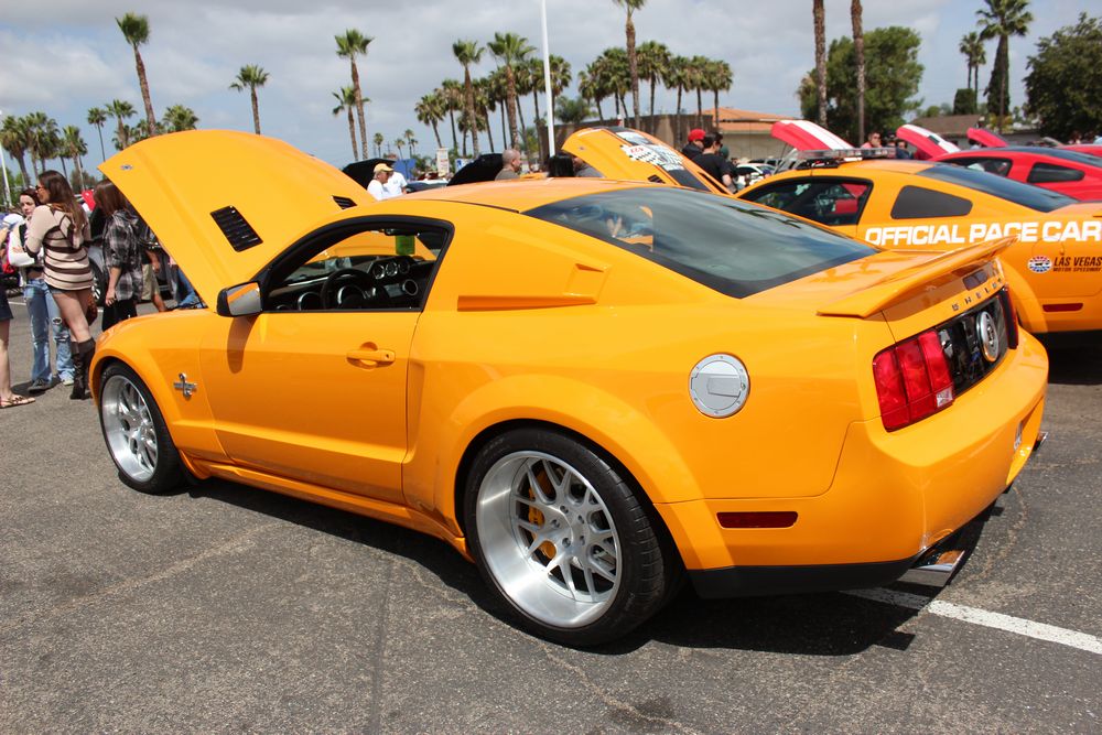 Name:  tn_IMG_8967_zps7333624e.jpg
Views: 27
Size:  144.2 KB