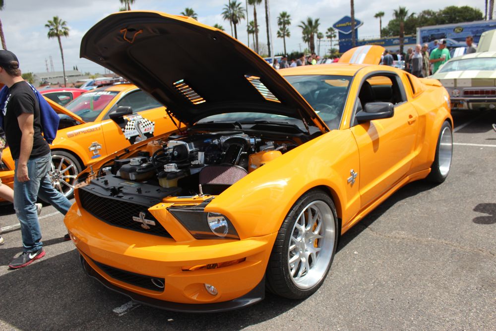 Name:  tn_IMG_8966_zps57dbde56.jpg
Views: 18
Size:  134.6 KB