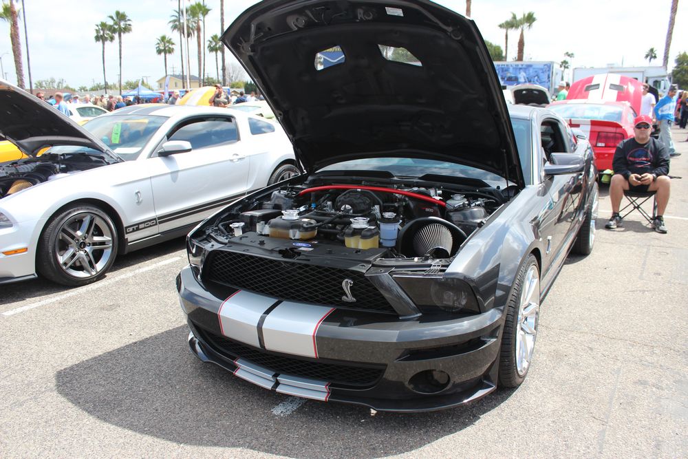 Name:  tn_IMG_8965_zps05705e46.jpg
Views: 36
Size:  149.5 KB