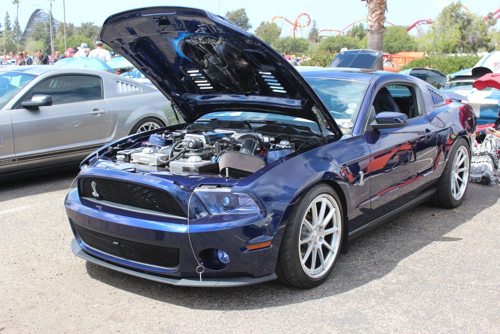 Name:  tn_IMG_8964_zps77462fc9.jpg
Views: 35
Size:  166.1 KB