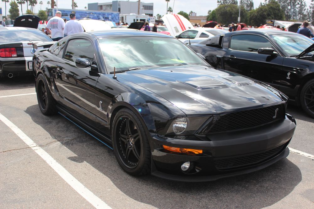 Name:  tn_IMG_8963_zps92d84806.jpg
Views: 21
Size:  132.4 KB