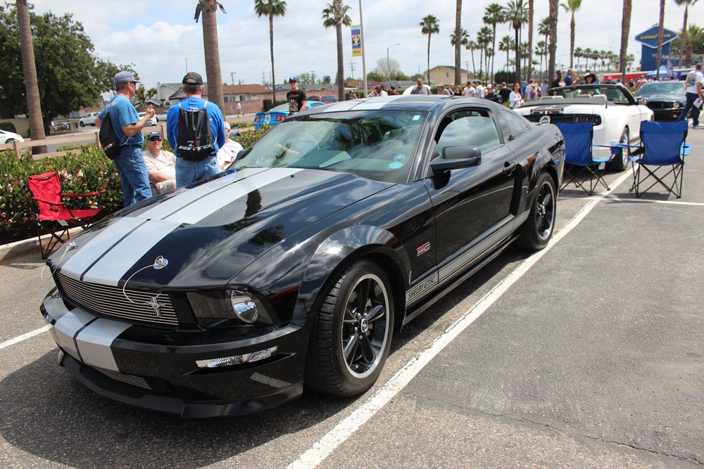 Name:  tn_IMG_8962_zps077ae6ca.jpg
Views: 25
Size:  164.2 KB