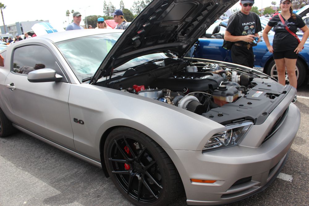 Name:  tn_IMG_8961_zpsa348a44f.jpg
Views: 35
Size:  119.1 KB