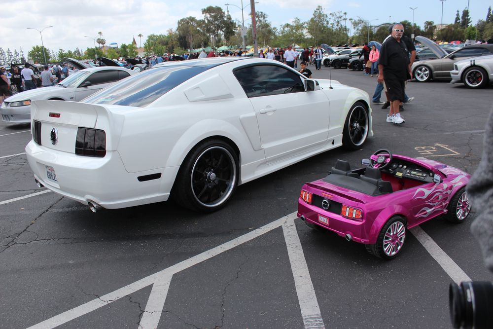 Name:  tn_IMG_8957_zps481f6155.jpg
Views: 32
Size:  122.2 KB